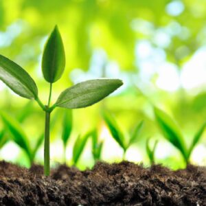 Como Implementar Produção Sustentável das Plantas Usando Tecnologias Inteligentes
