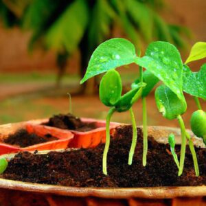 Produção Sustentável das Plantas: Como Garantir Produtividade Sem Prejudicar o Meio Ambiente